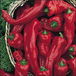 Georgia Flame Pepper Seeds - The Pepper Pantry (Formerly Marie Sharp's)